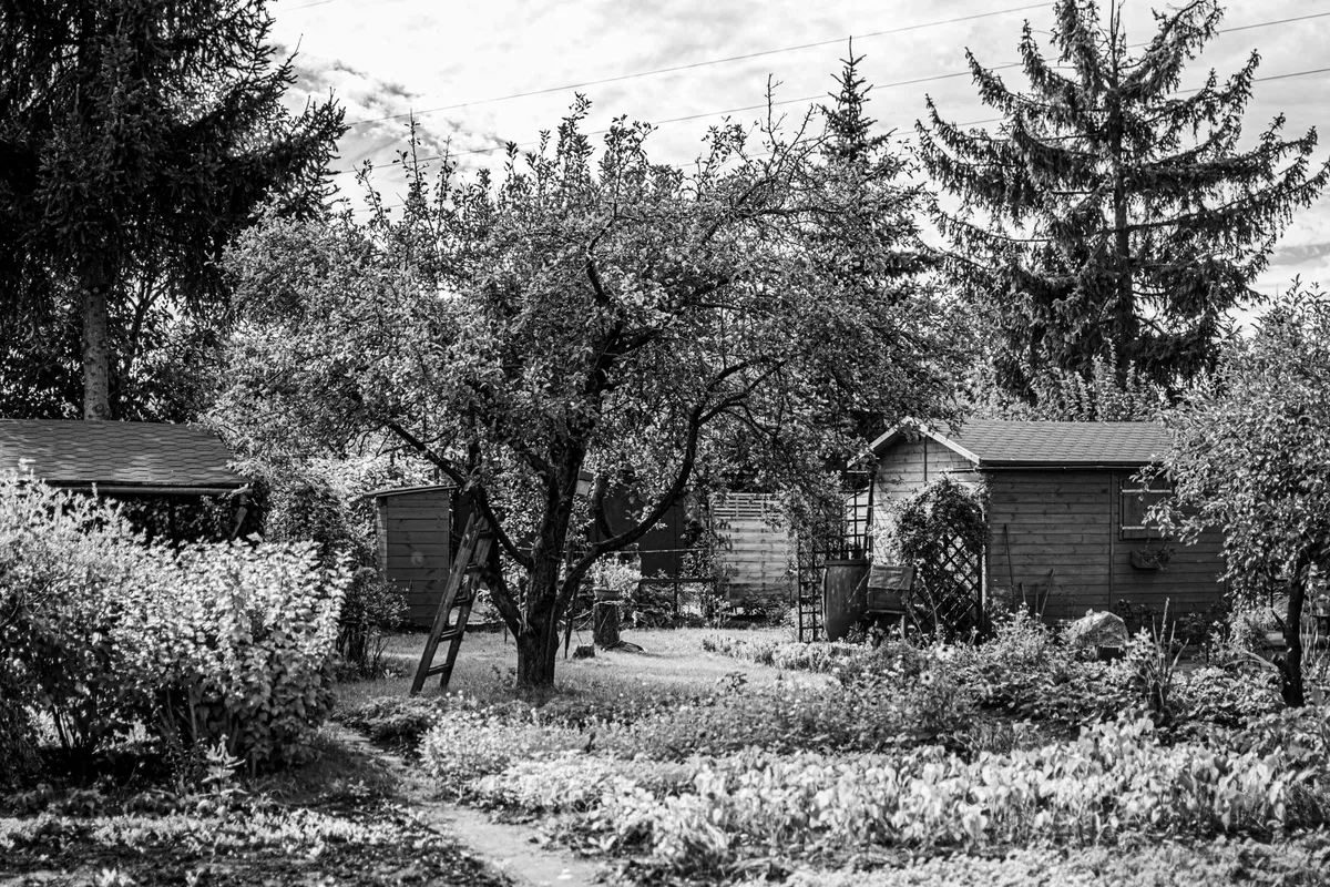 Alimentation électrique du jardin : câbles enterrés, profondeurs et normes