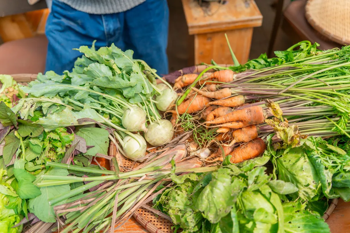 Du potager à l'assiette : cultiver ses légumes santé